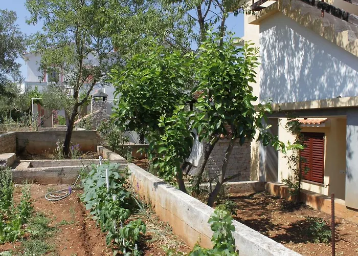 Апартаменты With Parking Space Sali, Dugi Otok - 8152